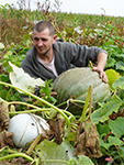 Vente directe de lgumes de saisons et paniers bio, Ctes d'Armor 22