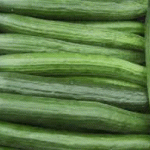Concombre lisse - Vente directe de légumes de saisons et paniers bio, Côtes d'Armor 22