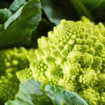 Chou Romanesco - Vente directe de légumes de saisons et paniers bio, Côtes d'Armor 22