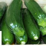 Courgette verte - Vente directe de légumes de saisons et paniers bio, Côtes d'Armor 22