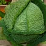 Chou Milan - Vente directe de légumes de saisons et paniers bio, Côtes d'Armor 22