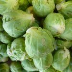 Choux de Bruxelles  - Vente directe de légumes de saisons et paniers bio, Côtes d'Armor 22